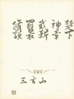 修罗武神楚枫小说最新章下载