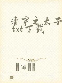 清穿之太子娇妃 txt下载