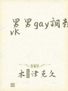 男男gay调教vk