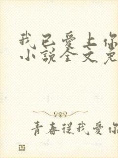 我已爱上你陈超小说全文免费阅读