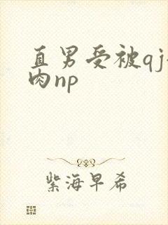 直男受被qj全肉np
