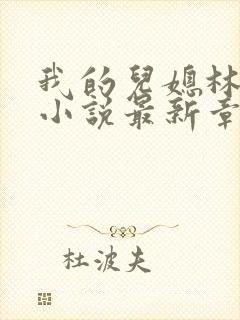 我的儿媳林曼曼小说最新章节更新时