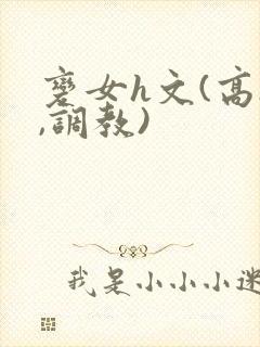 变女h文(高h,调教)