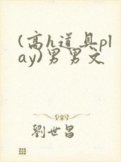 (高h道具play)男男文