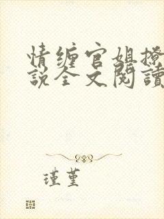 情缠官姐撩人小说全文阅读封面