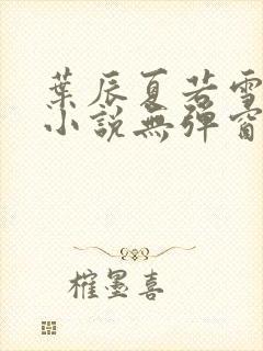 叶辰夏若雪孙怡小说无弹窗