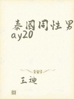 泰国同性男男gay20