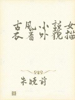 古风小说女主的衣着外貌描写封面