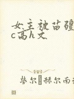 女主被苗疆男主c高h文