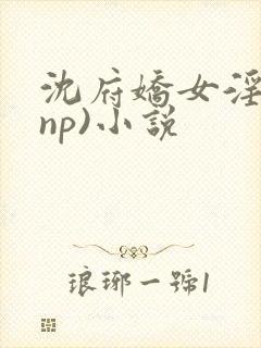 沈府娇女淫史(np)小说