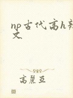 np古代高h辣文封面
