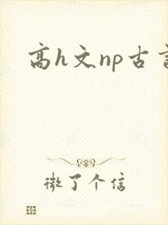 高h文np古言封面