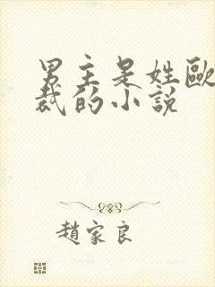 男主是姓欧的总裁的小说