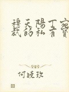 穆天阳丁宛晴总裁的私有宝贝封面