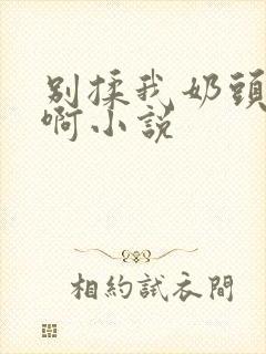 别揉我奶头嗯～啊小说