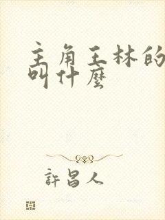 主角王林的小说叫什么封面