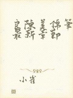 良陈美锦笔趣阁最新章节