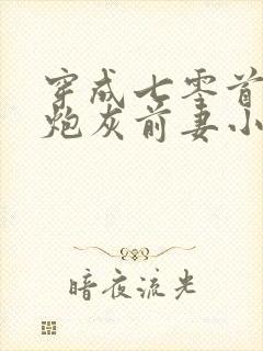 穿成七零首富的炮灰前妻小说