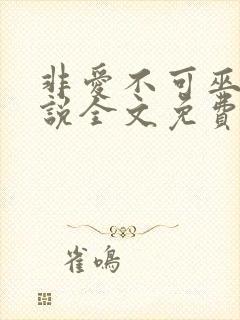 非爱不可巫哲小说全文免费阅读