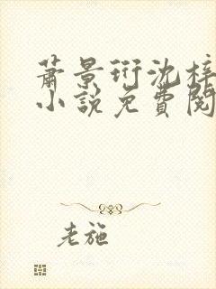 萧景珩沈梓雨的小说免费阅读全文