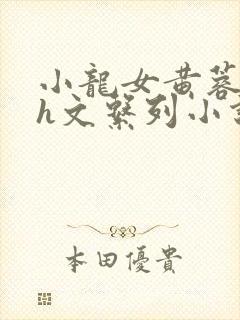 小龙女黄蓉高辣h文系列小说介绍