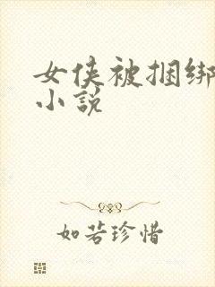 女侠被捆绑调教小说封面