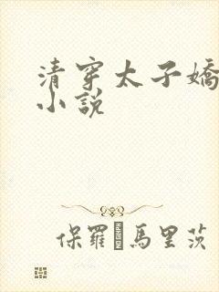 清穿太子娇妃的小说封面