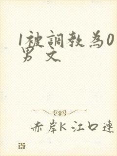 1被调教为0男男 文