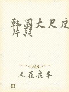 韩国大尺度床戏片段