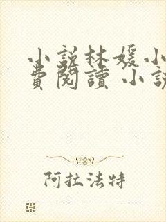 小说林媛小正免费阅读 小说
