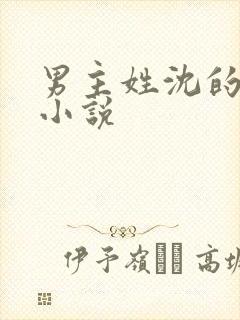 男主姓沈的总裁小说