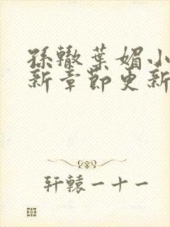 孙辙叶媚小说最新章节更新内容