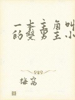 一本主角叫陈平的双男主小说封面