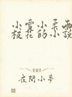 小雪小柔两个大校花的小说