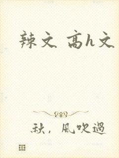 辣文 高h文