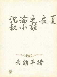 沉沦之夜夏婉陈叔小说