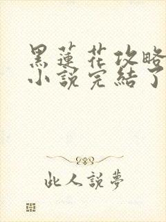 黑莲花攻略手册小说完结了吗