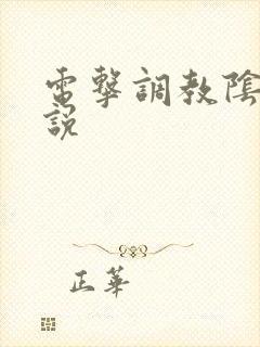 电击调教阴蒂小说