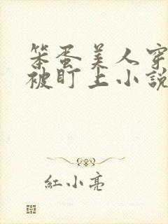 笨蛋美人穿书后被盯上小说免费阅读