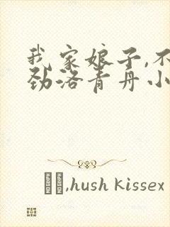 我家娘子,不对劲洛青舟小说