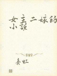 女主二嫁的古言小说