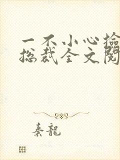 一不小心捡到个总裁全文阅读