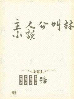 主人公叫林宇的小说