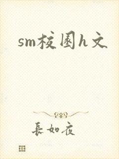 sm校园h文