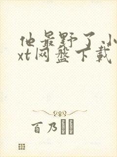 他最野了小说txt网盘下载