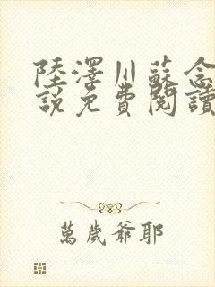 陆泽川苏念安小说免费阅读最新章节