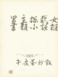 男主总裁女主秘书类小说推荐