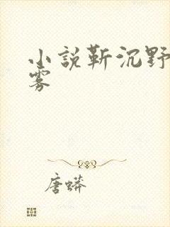 小说靳沉野唐栖雾封面