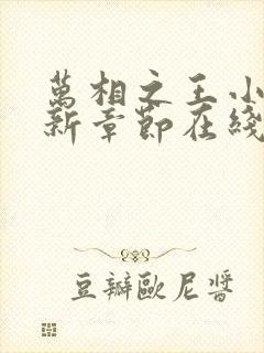 万相之王小说最新章节在线阅读封面