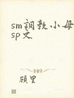 sm调教小母狗sp文封面